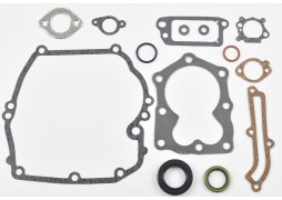 SET GARNITURI BRIGGS&STRATTON QUANTUM